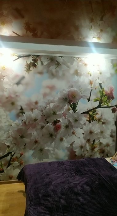 Оренда Здам Подобово,погодин, квартиру,2кімн.Кам'янецька ХНУ.Аквапарк