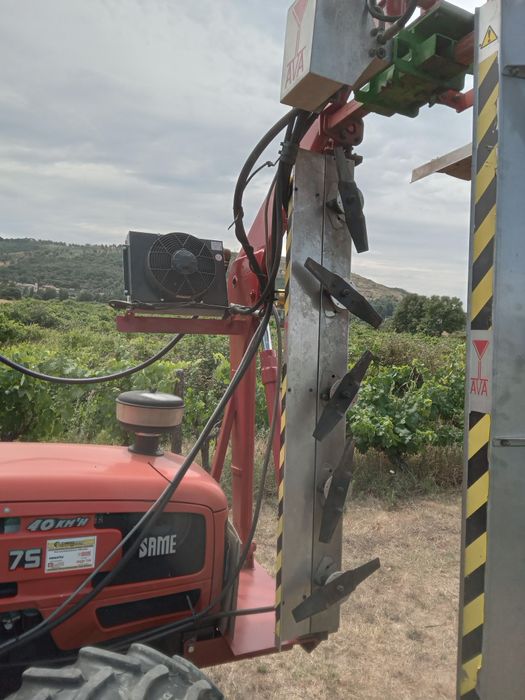 Despampanadeira vinha