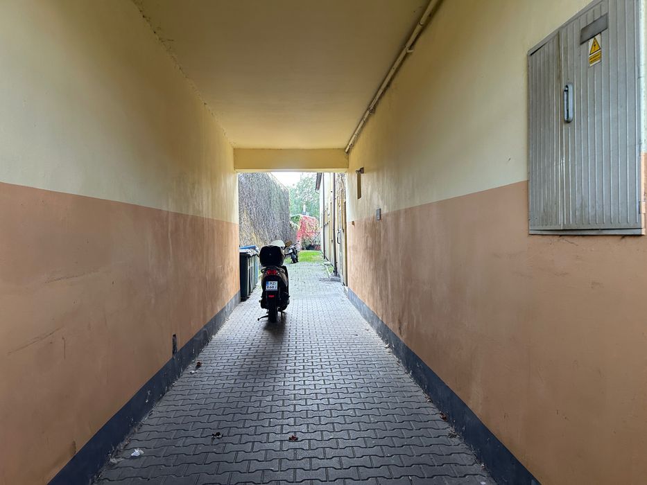 lokal do wynajęcia