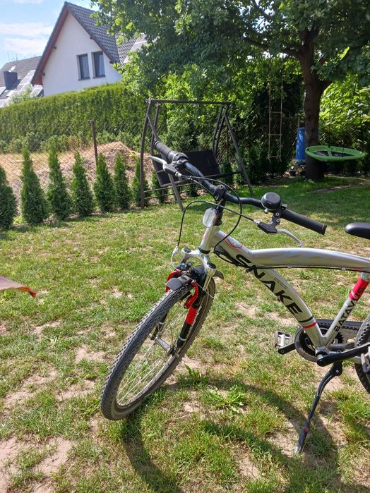 Rower batavus  Snake 26"