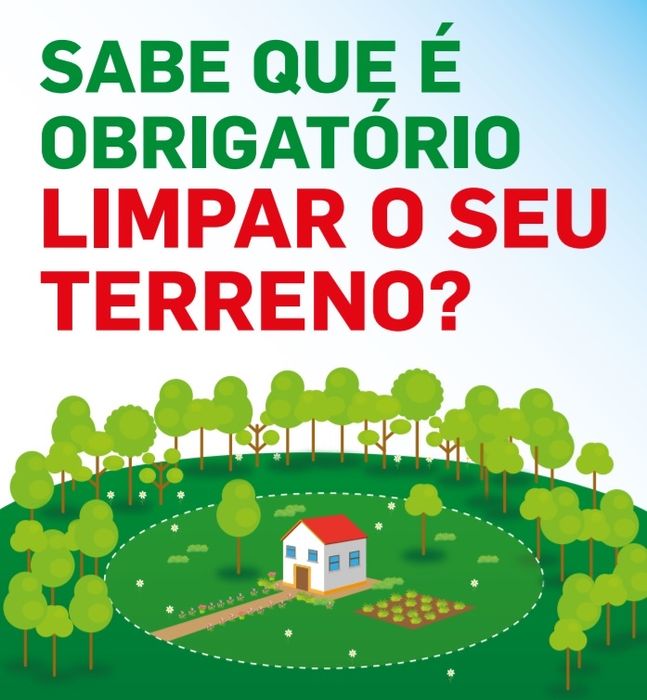 Limpeza de Terrenos/Matas, abate de árvores