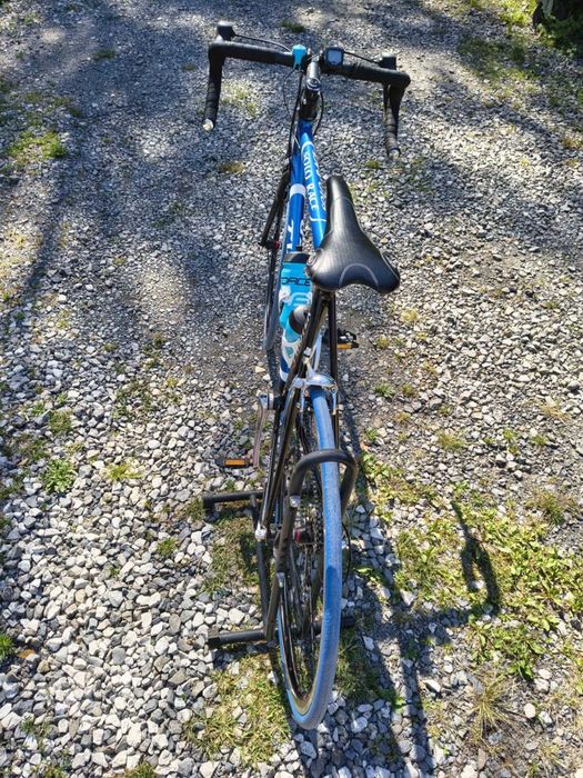 Rower kolazowka TWISTER