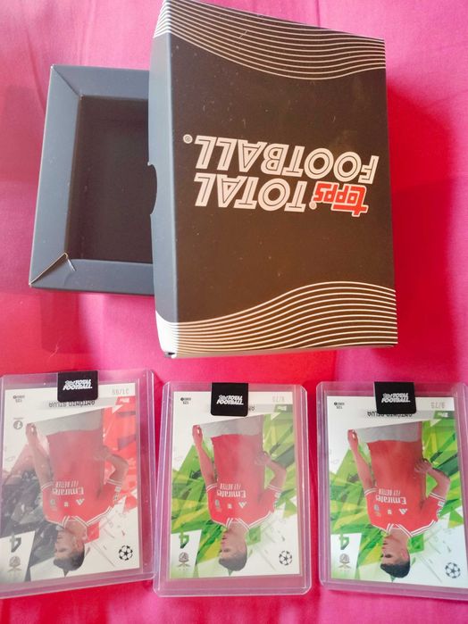 Cards António Silva Benfica