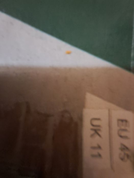 Botas de trabalho - Parkside (Novas) (N°45)