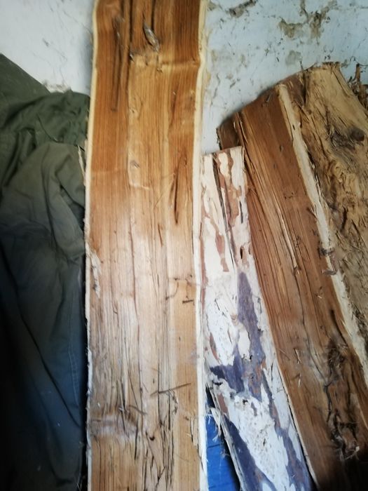 Дерево яблоня  красное дерево для поделок