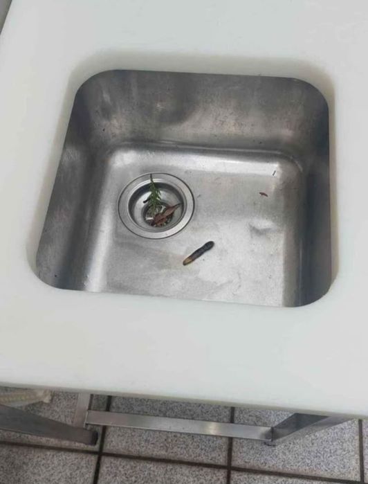 Banca para Restauraçao