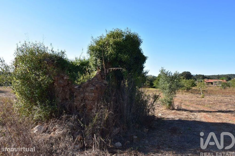 Terreno para construção em Areias e Pias de 8120,00 m2