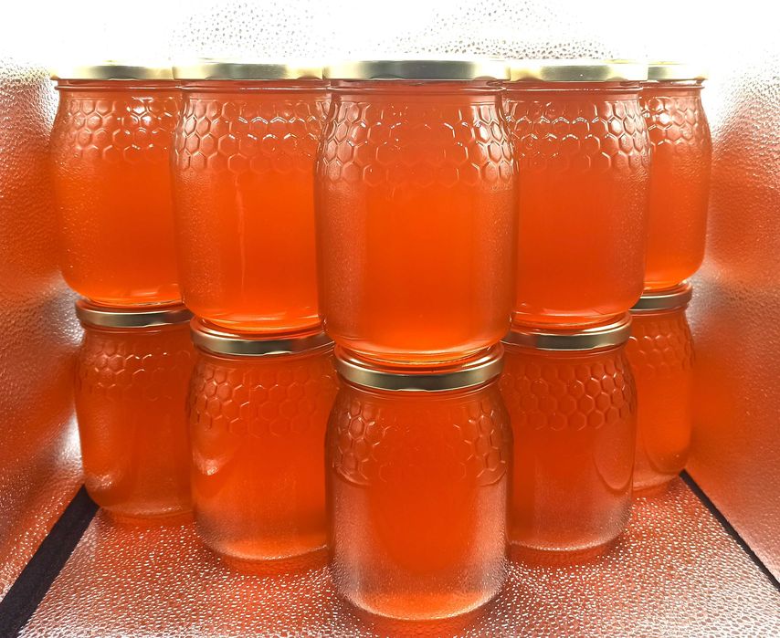 Mel de Rosmaninho 2026