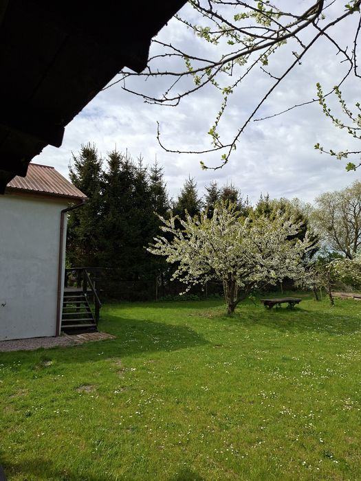 Noclegi na Wyspie Sobieszewskiej, domek, apartament, pokoje.