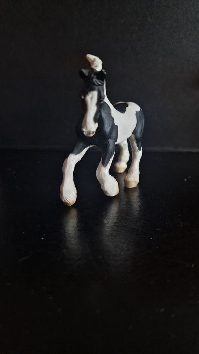 źrebak Tinker collectA