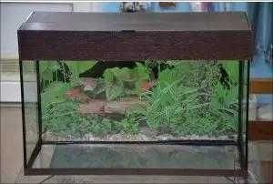 Аквариум 140 литров