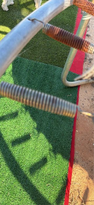 Trampolim de criancça
