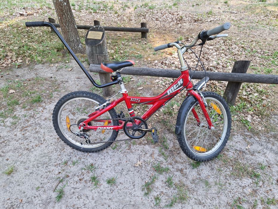 Rower dziecięcy Giant 20"