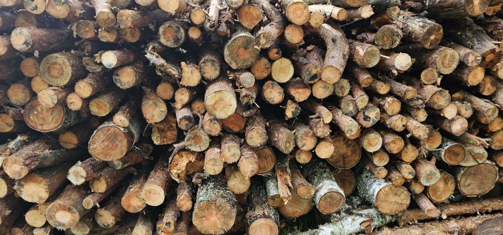 Drewno opałowe sosna