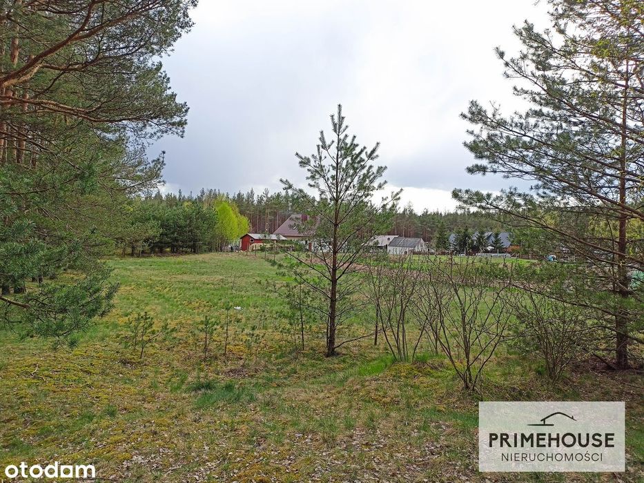 Dom – Rzepiczna - Widok 4