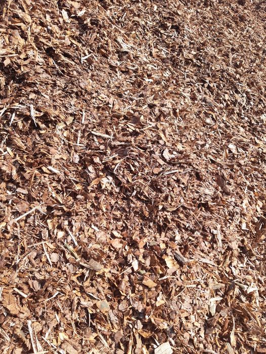 Kora sosnowa świeża gruba worki 80l