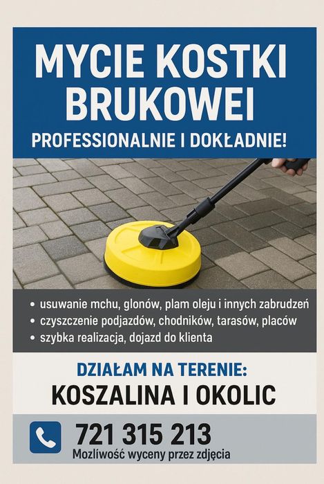 PROFESJONALNE CZYSZCZENIE: kostki• elewacji • dachów /malowanie