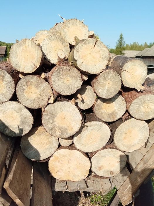 Drewno opałowe sucha sosna w klockach