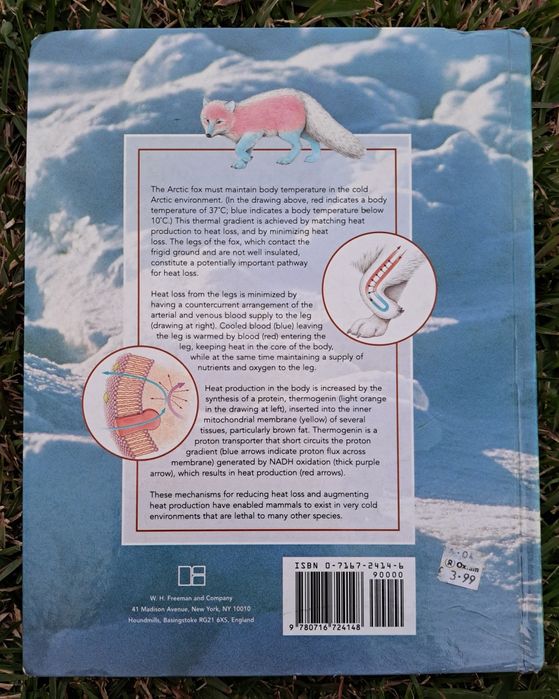 Livro: Animal Fysiology
