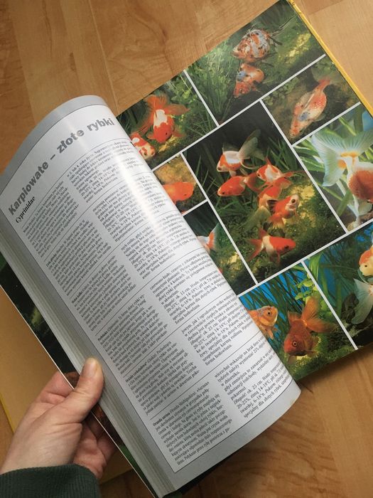 Atlas ryb akwariowych Kahl Voht encyklopedia
