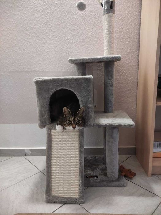 Drapak legowisko domek wysoki dla kota słupek do drapania NOWY 118 cm