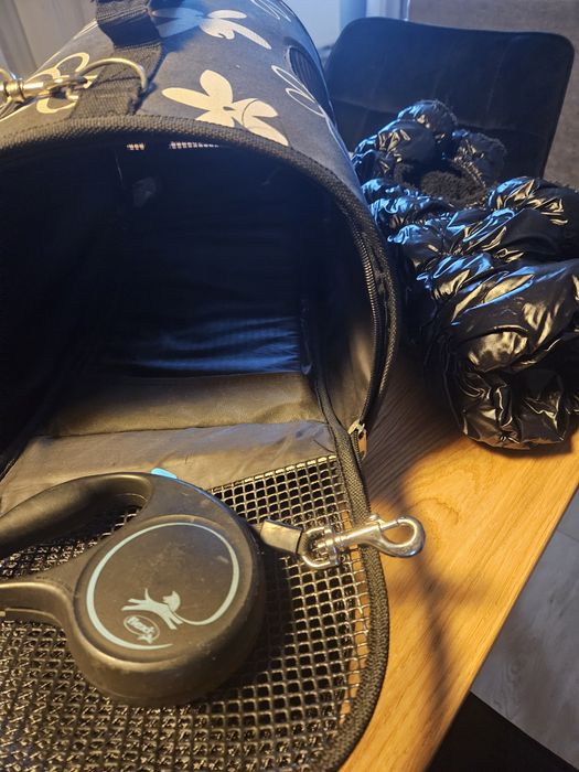 Zestaw dla małego psa