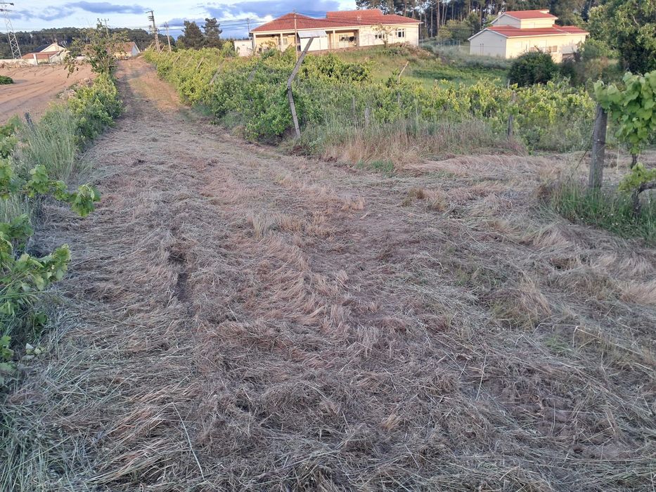 Terreno Rústico com Viabilidade de Construção 5.000 m² - Vale de Nogueiras, Vila Real