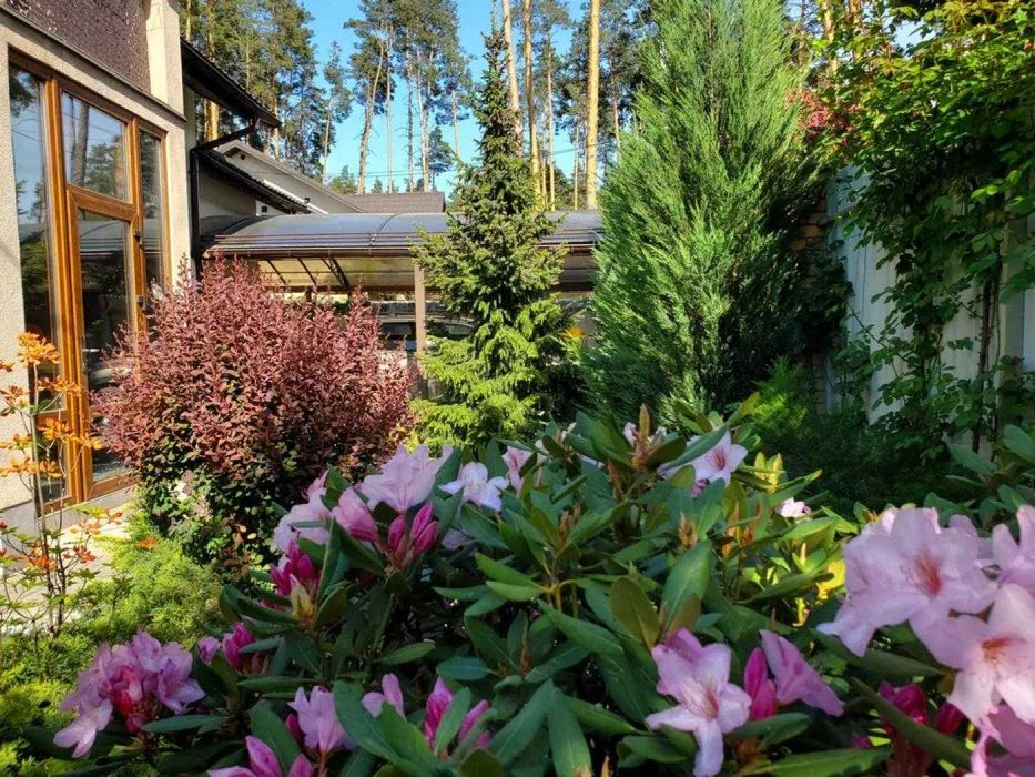 Продаж будинку Буча, з ремонтом, Басейн