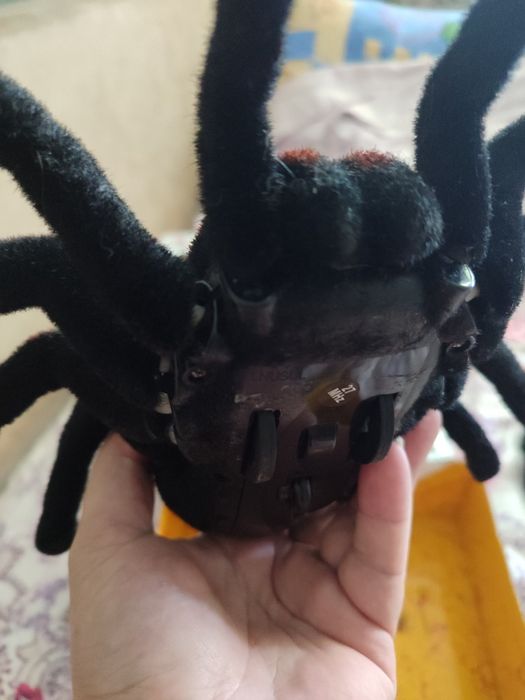 Паук на радиоуправлении