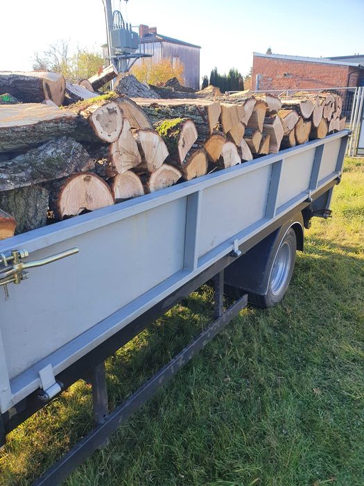 Drewno kominkowe opałowe Dab