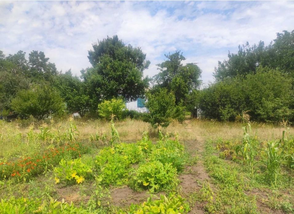 Продам будинок в Обухівці біля лісу