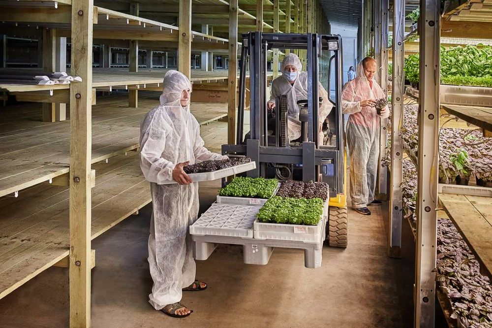 Виробниче чи складське приміщення в оренду