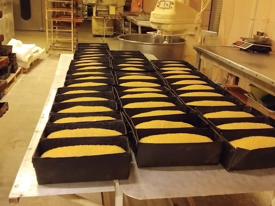 Оренда приміщення комерційного призначення Свалява  Закарпатської