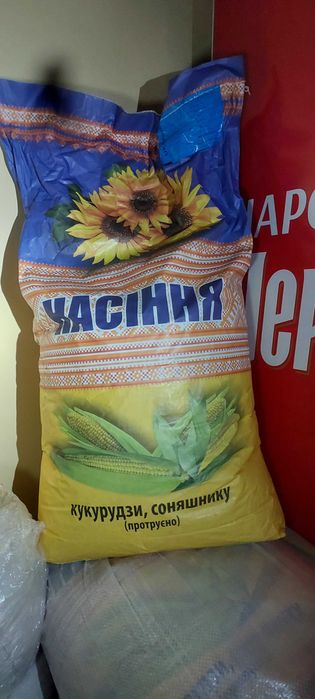 насіння кукурудзи