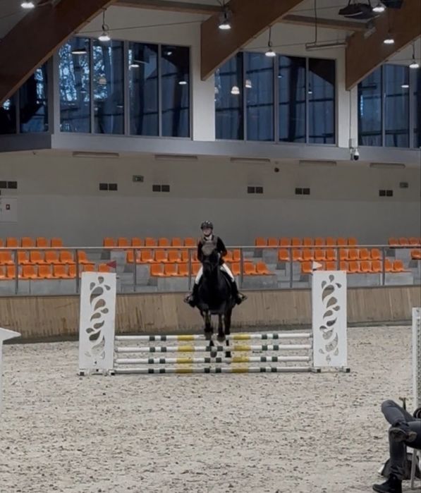 Loxy R  Cudowna Klacz