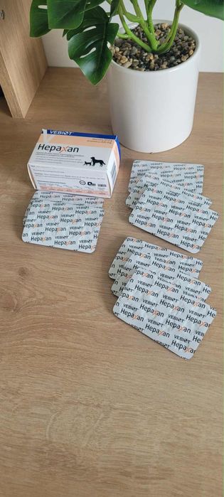 Hepaxan tabletki na wątrobę dla psa