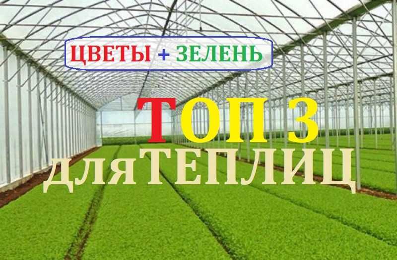 Участок под Теплицы. Еда, Цветы и размножение