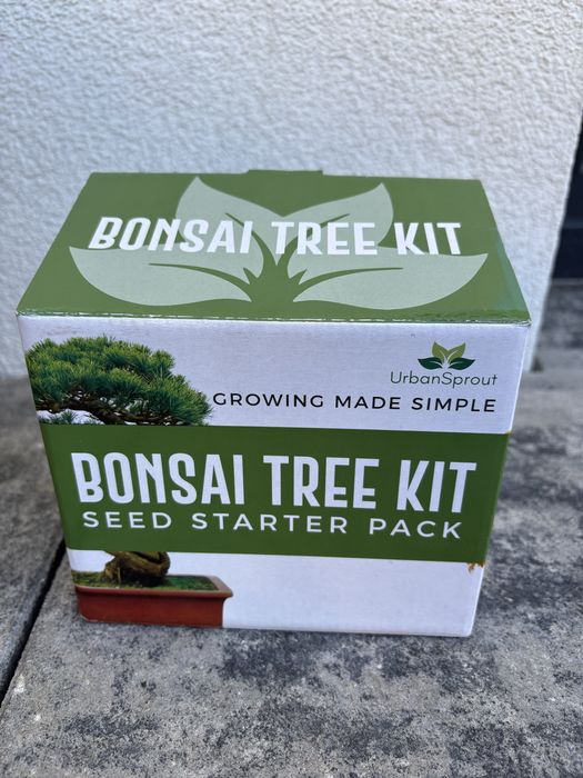 zestaw startowy do uprawy drzewek bonsai