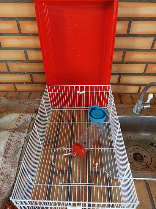 Vendo gaiola para hamster