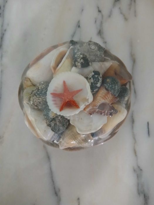 Cesta com conchas, buzios e estrela do mar para decoração