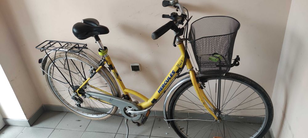 Solidna damka Hercules