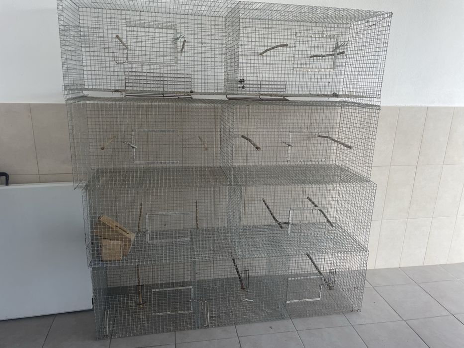 Gaiolas para criacao de passaros