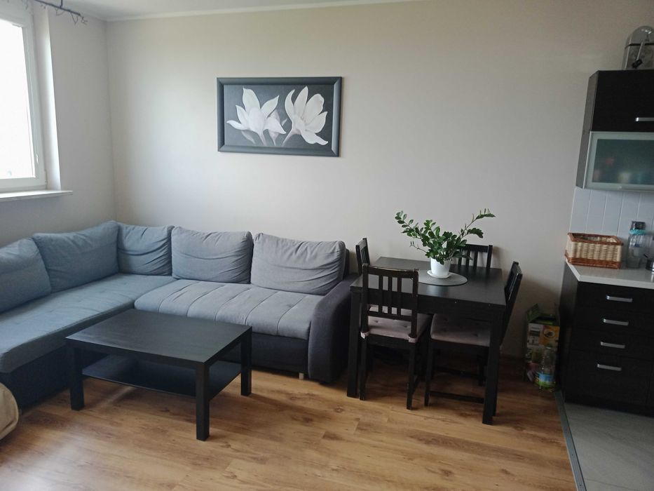 Mieszkanie dwu pokojowe, komórka lokatorska , garaż, centrum