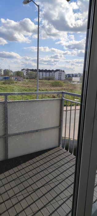 Zdjęcie 8