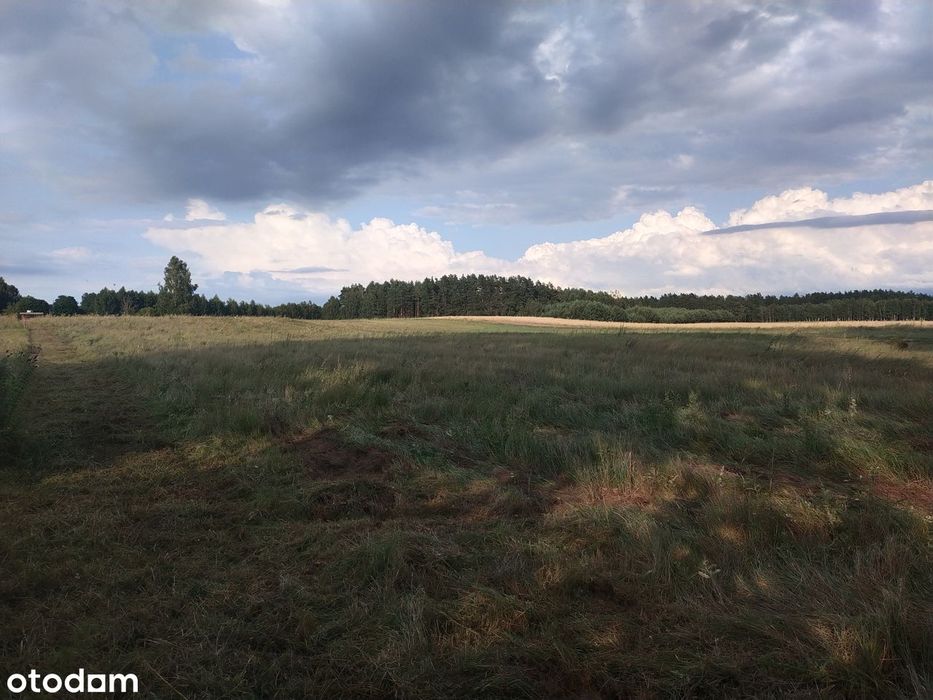 Duża działka 2700 m² z Warunkami Zabudowy . Tylko 37 zł za m2. Na wsi - Więcej
