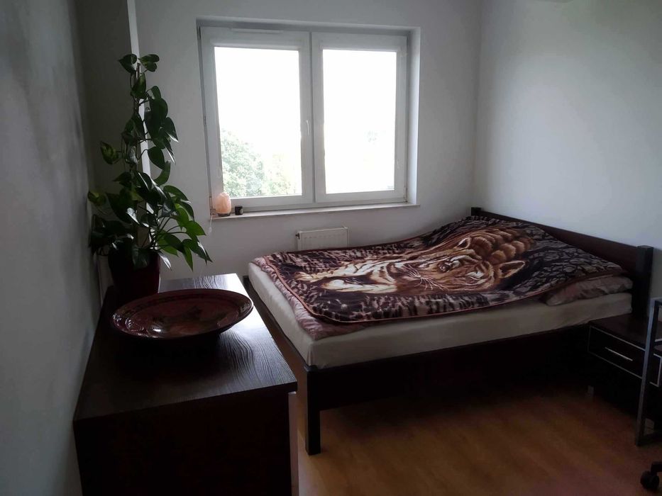 3 pokoje osobna kuchnia WYNAJMĘ od 01.06.2026 Manganowa - Widok 6
