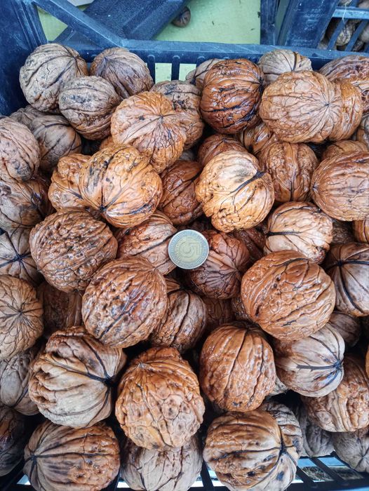 Orzechy włoskie duże zeszłoroczne