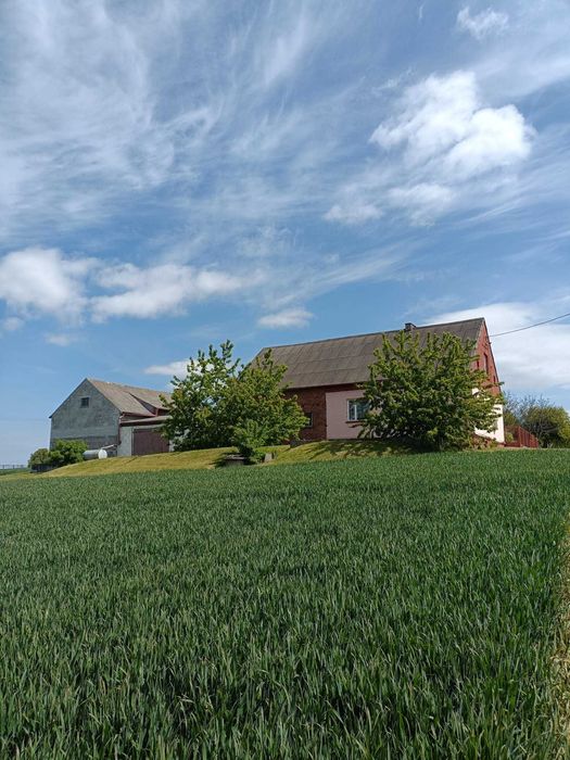 Sprzedam Dom na Wsi z Potencjałem !