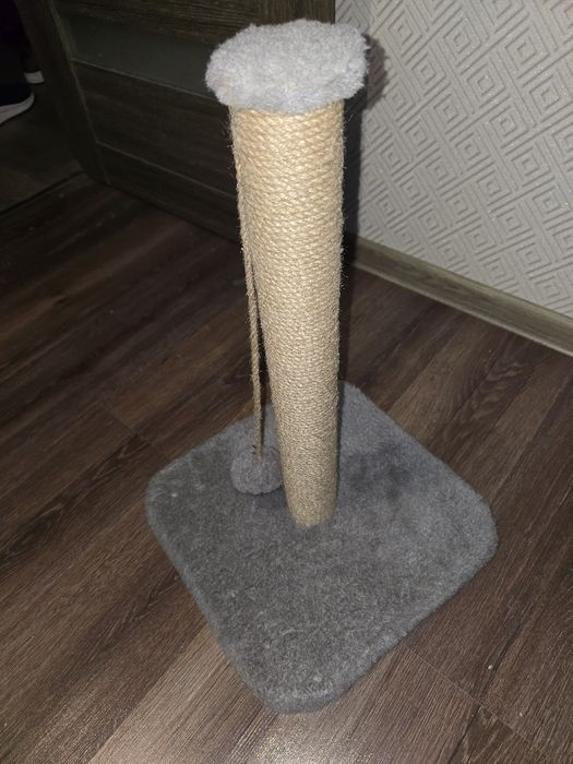 Когтеточка для кота