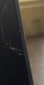 Chromebook 300e.  sprawny
